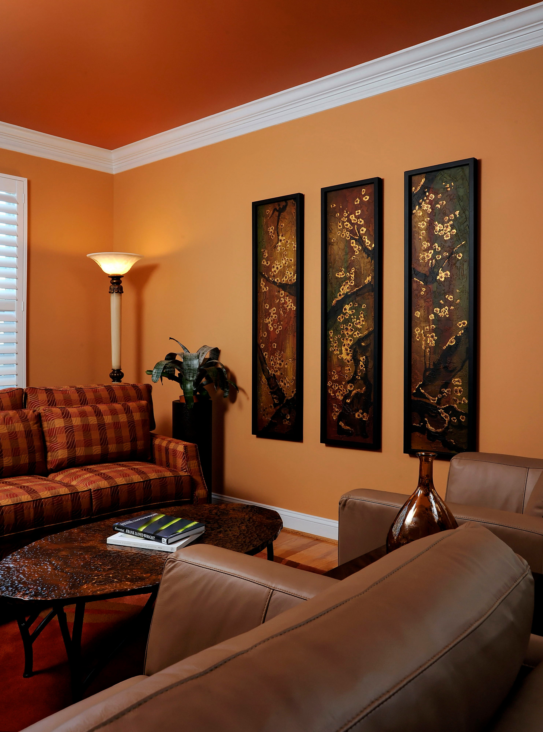 75 Living Room With Orange Walls Ideas