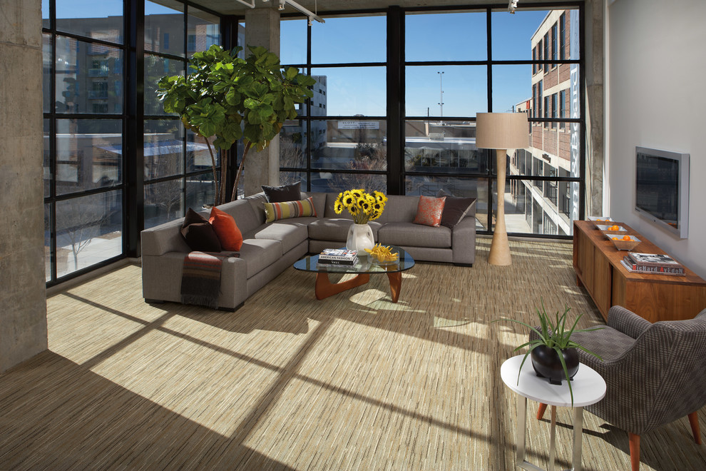Immagine di un soggiorno moderno di medie dimensioni e stile loft con pareti grigie, moquette e TV a parete