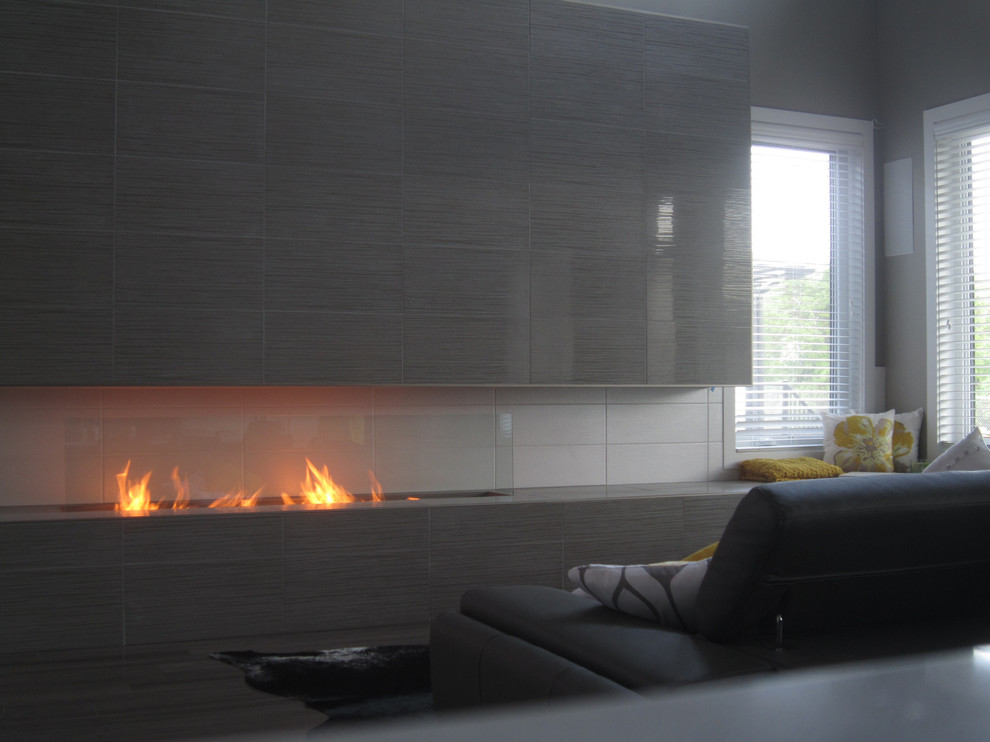 Modern Ethanol Fireplaces Modern Living Room Indianapolis by
