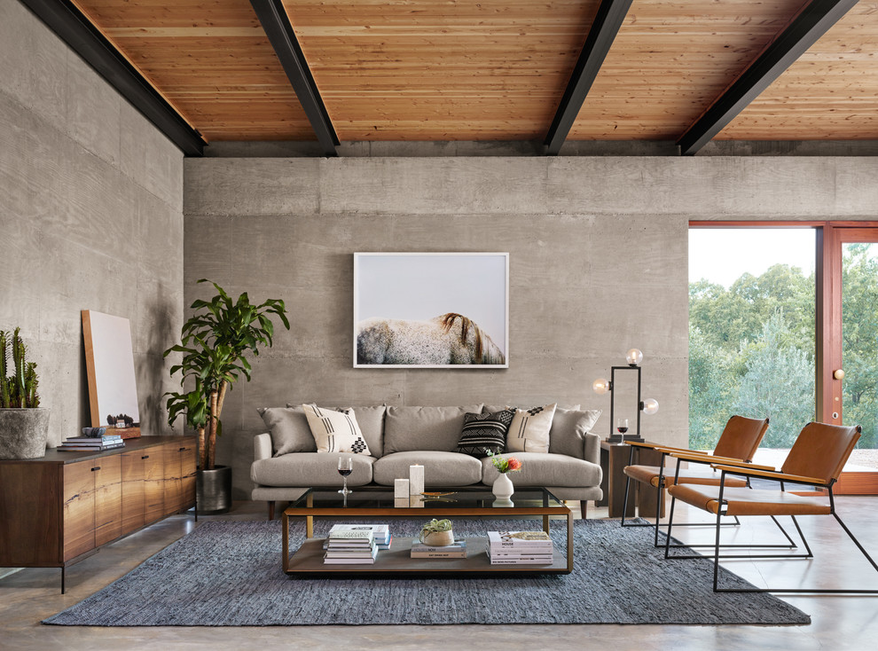 Idee per un soggiorno minimal di medie dimensioni con pavimento in cemento, pareti grigie e pavimento grigio