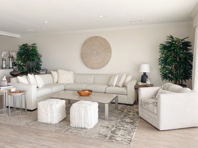 Modern Greige Living Room Beach Style