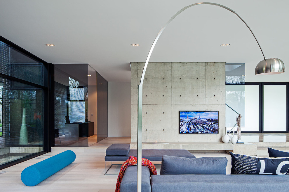 Living room - scandinavian living room idea in Toronto