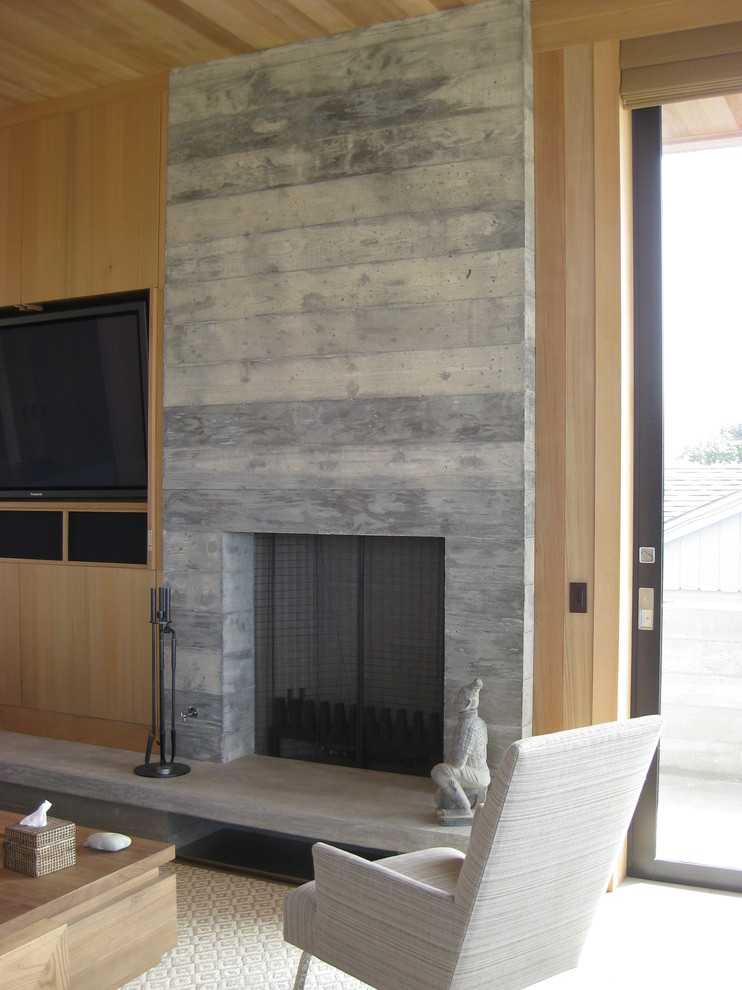 Minimalist living room photo in Other with a standard fireplace and a media wall