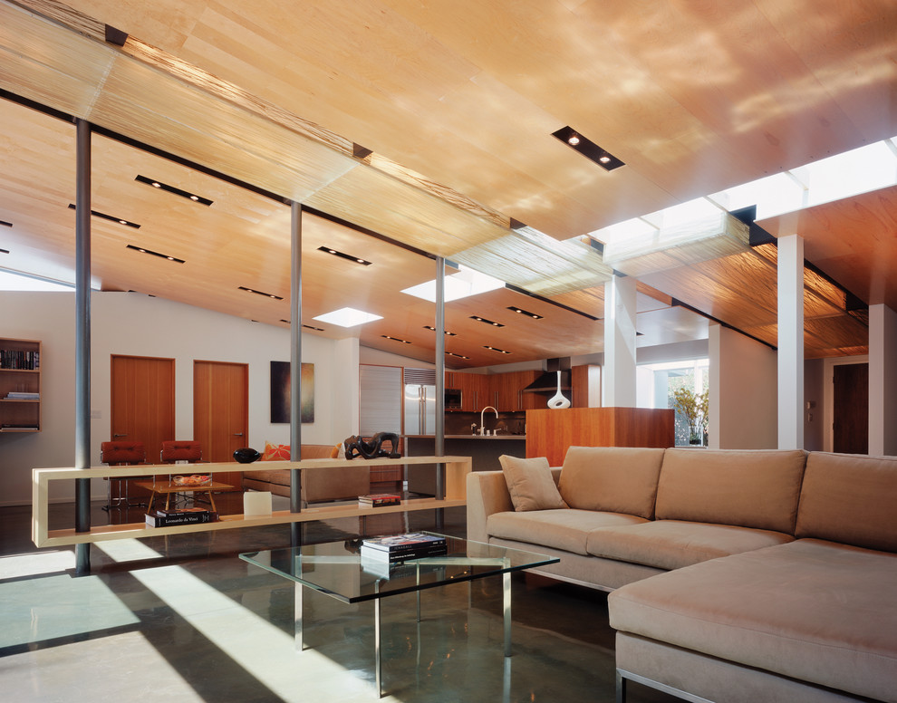 Esempio di un soggiorno minimalista di medie dimensioni e stile loft con pareti bianche e pavimento in cemento