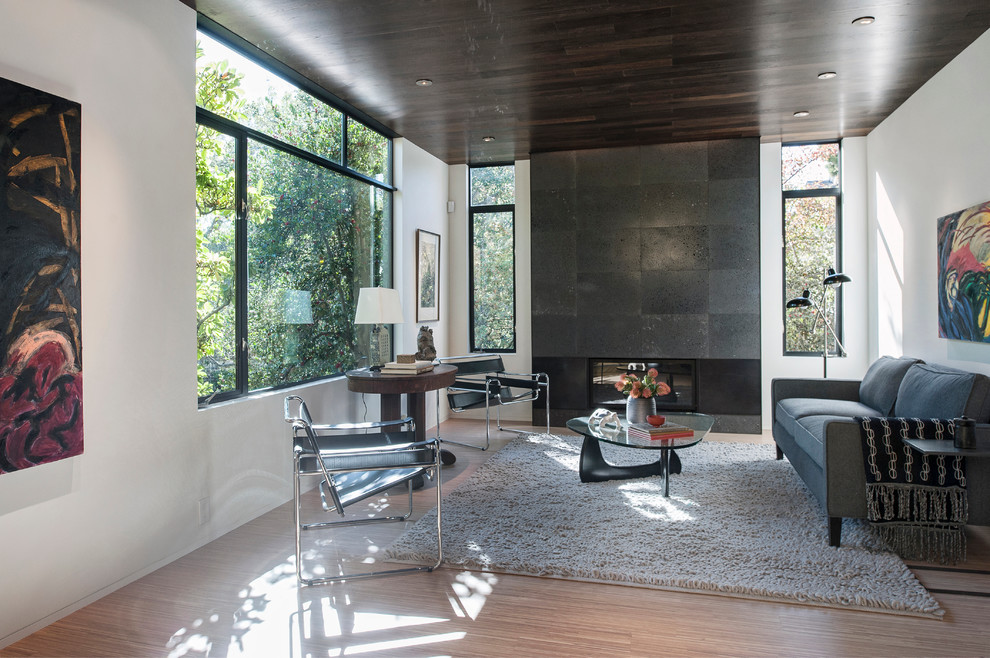 Modernes Wohnzimmer mit weißer Wandfarbe, hellem Holzboden und Gaskamin in San Francisco