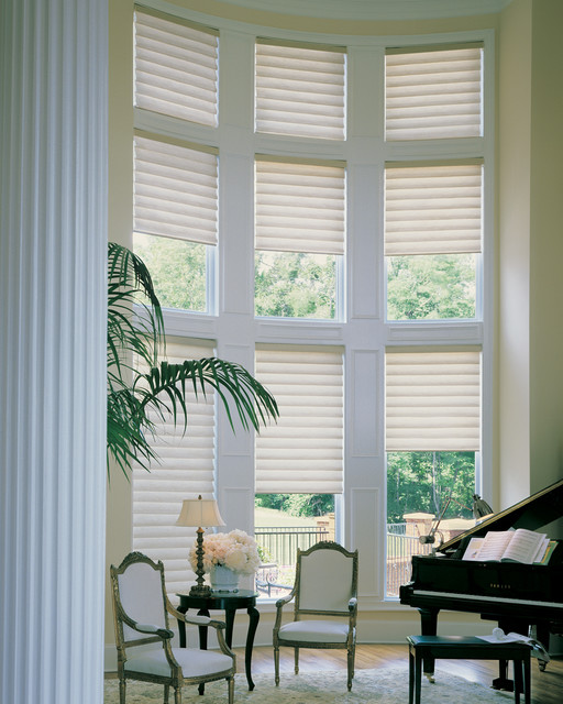 Modern Roman Shades Traditional Living Room New York by