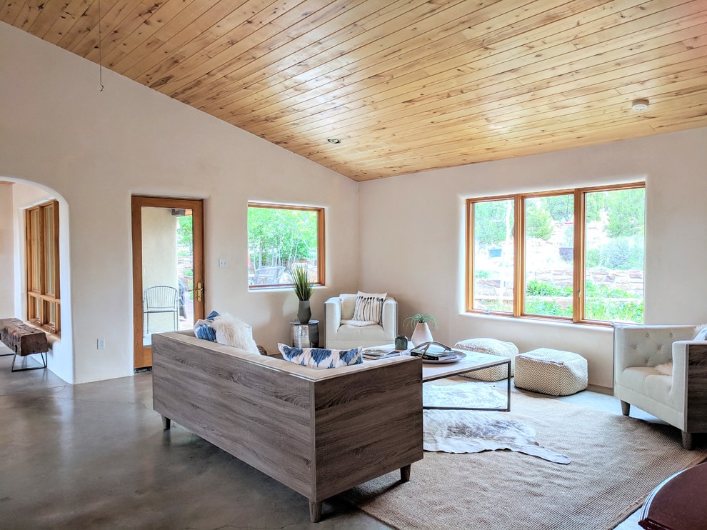 Esempio di un soggiorno stile americano di medie dimensioni e aperto con pareti bianche, pavimento in cemento, stufa a legna, nessuna TV e pavimento grigio