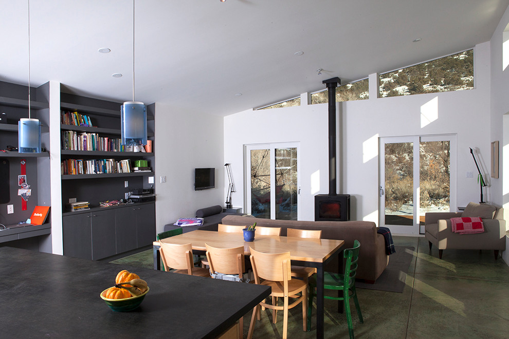 Источник вдохновения для домашнего уюта: гостиная комната в современном стиле с бетонным полом, печью-буржуйкой и коричневым диваном
