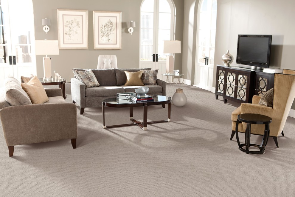 Immagine di un soggiorno design di medie dimensioni con pareti grigie, moquette, nessun camino, TV autoportante e pavimento grigio