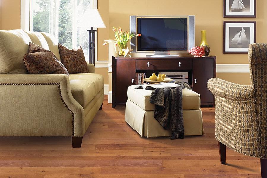 Foto di un soggiorno tradizionale di medie dimensioni con pareti marroni, pavimento in legno massello medio, nessun camino, TV autoportante e pavimento marrone