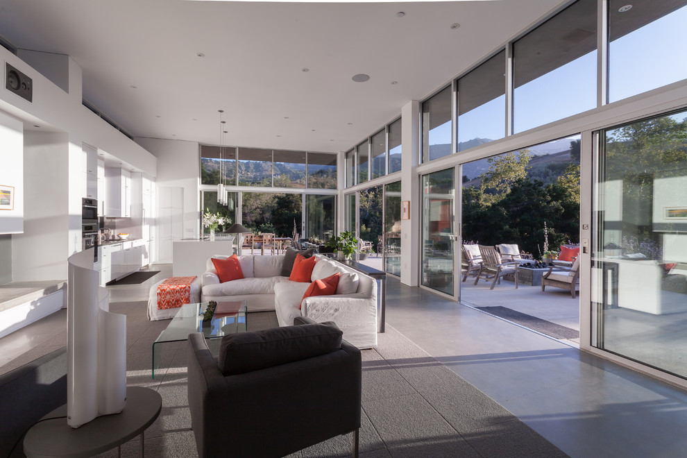 Living room - contemporary living room idea in Santa Barbara