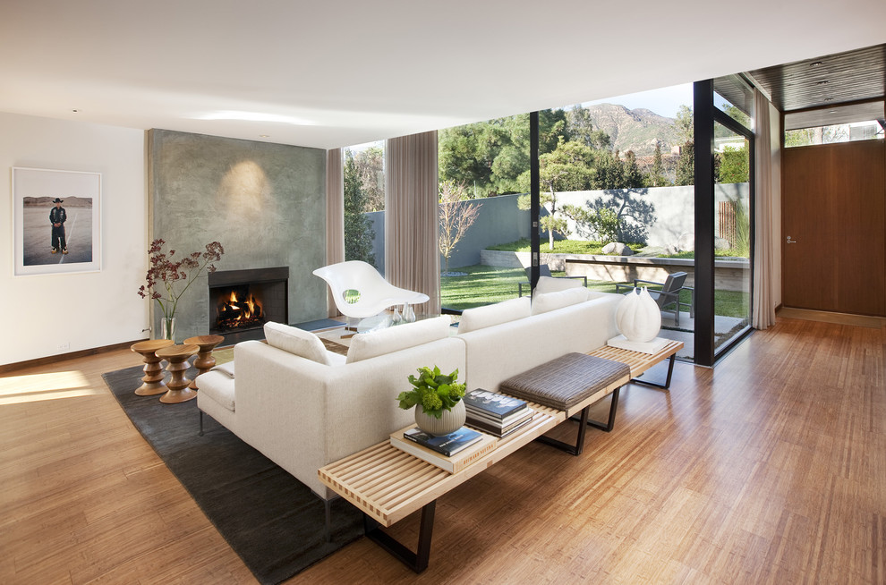 Photo of a midcentury living room in Santa Barbara with a concrete fireplace surround and white walls.