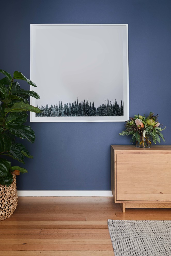 На фото: открытая гостиная комната в скандинавском стиле с синими стенами, светлым паркетным полом и отдельно стоящим телевизором