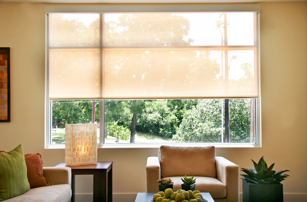 Motorized Solar Shades Modern Living Room Austin by Texas Sun & Shade Houzz