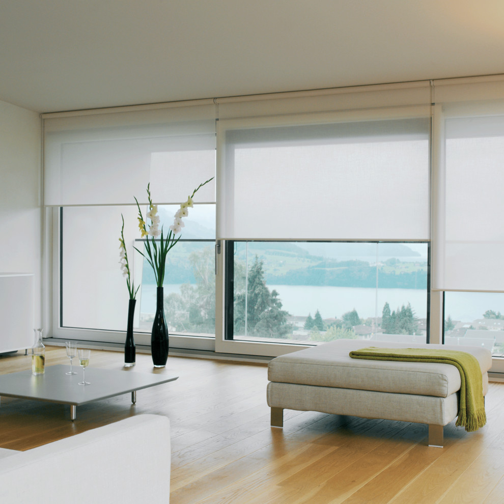 Imagen de salón cerrado moderno de tamaño medio sin televisor con paredes blancas, suelo de madera clara y suelo marrón