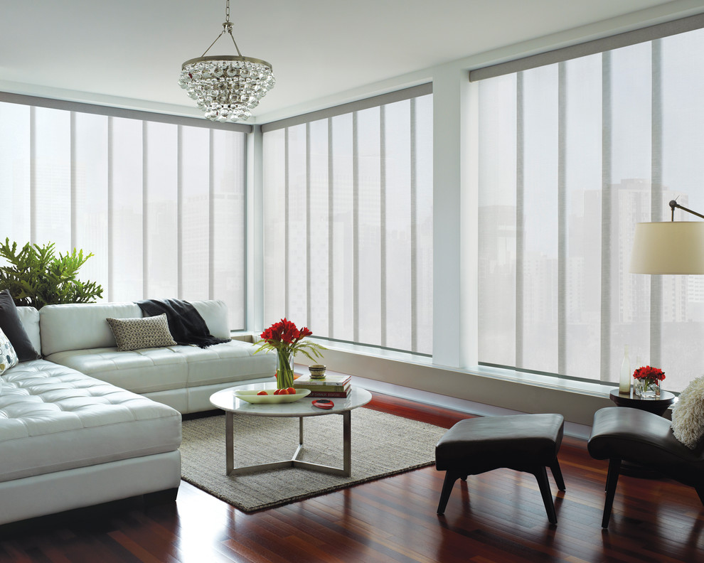 Immagine di un soggiorno minimal di medie dimensioni e aperto con sala formale, pareti bianche e parquet scuro
