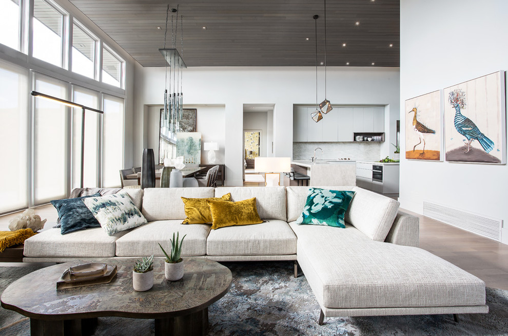 Inspiration for a contemporary living room in Salt Lake City.