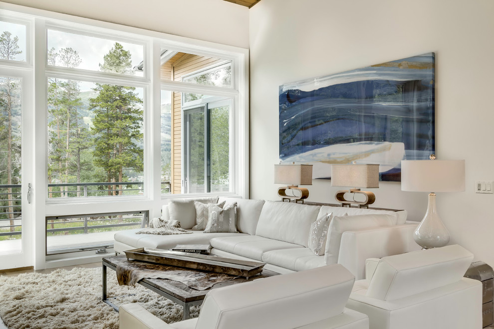 Mittelgroßes, Repräsentatives, Abgetrenntes Modernes Wohnzimmer mit weißer Wandfarbe, braunem Holzboden, Gaskamin und Kaminumrandung aus Stein in Denver