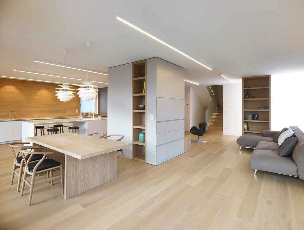 Offenes Modernes Wohnzimmer mit hellem Holzboden und weißer Wandfarbe in Sonstige