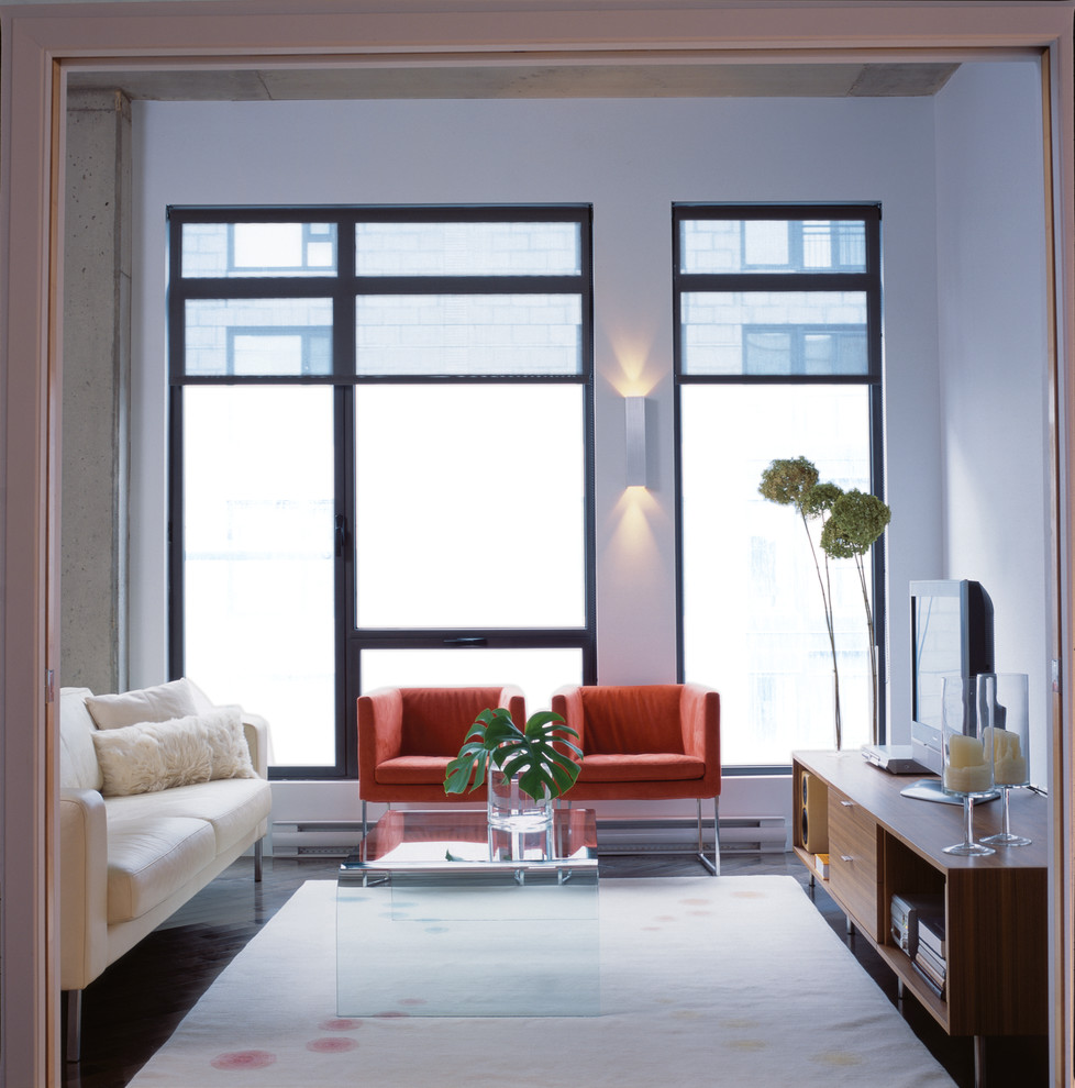Foto di un soggiorno minimalista di medie dimensioni e stile loft con sala formale, pareti bianche, moquette, TV autoportante e nessun camino