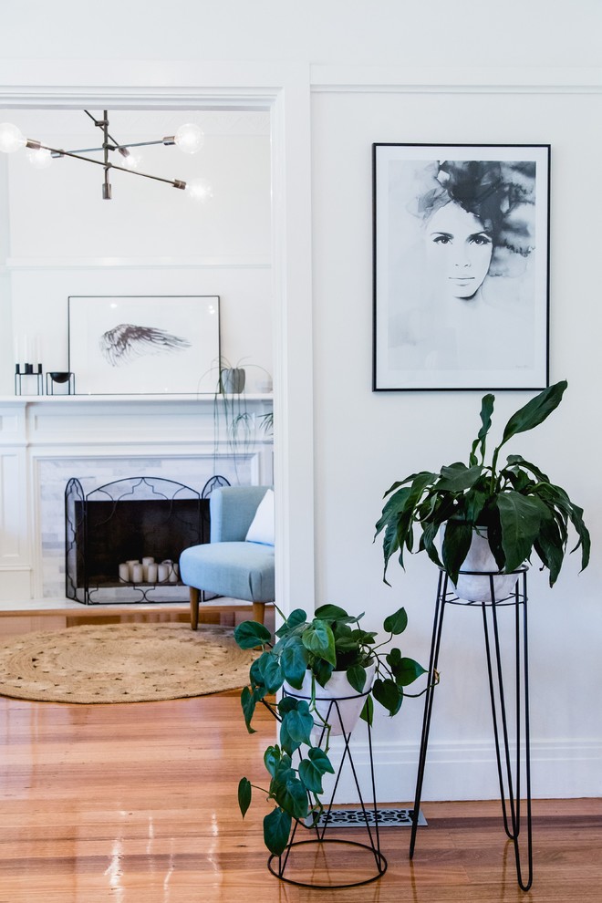 Inspiration for a large scandi living room in Melbourne with white walls and medium hardwood flooring.