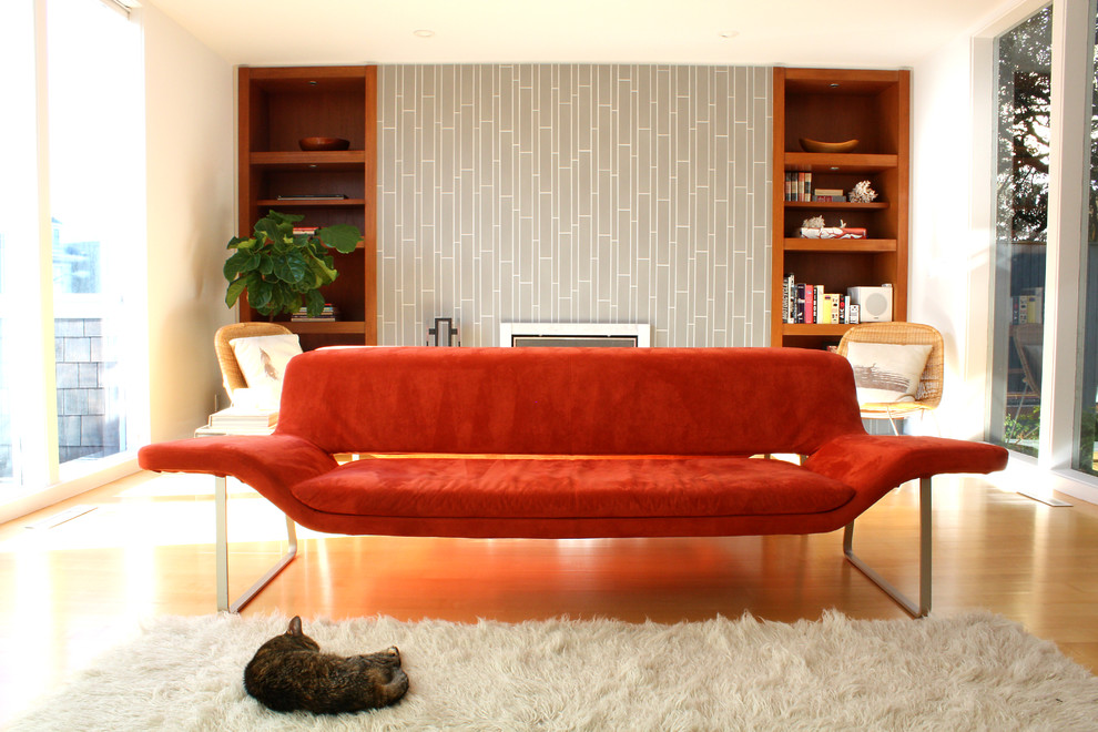 Inspiration for a retro living room in San Francisco.