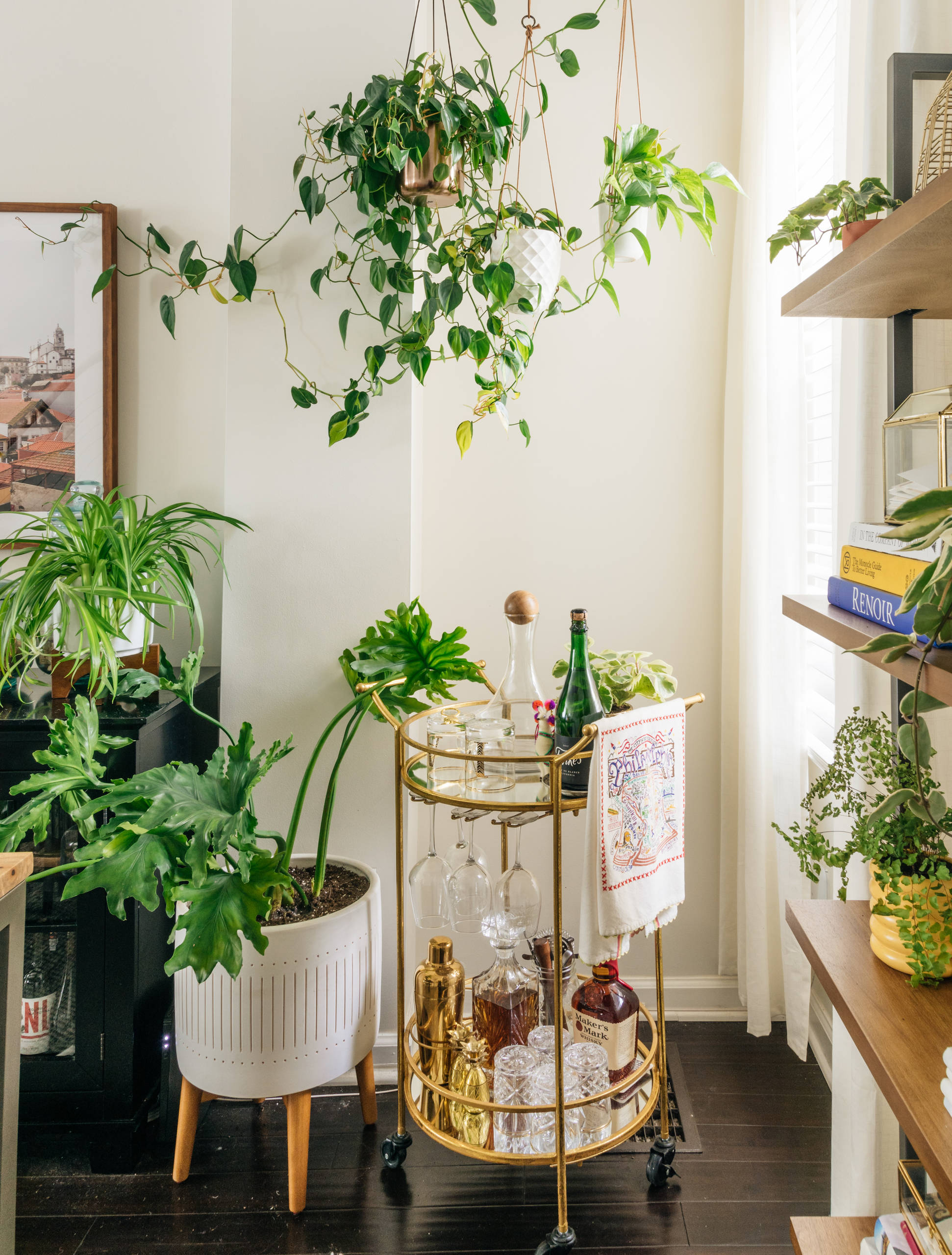 Große Zimmerpflanzen: die 12 schönsten fürs Zuhause
