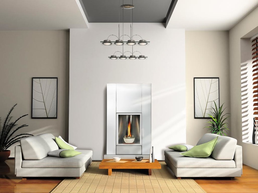 Napoleon Fireplaces Contemporary Living Room Grand Rapids by