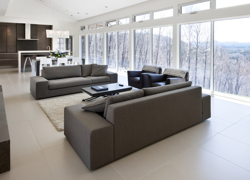 Design ideas for a contemporary living room in Ottawa.