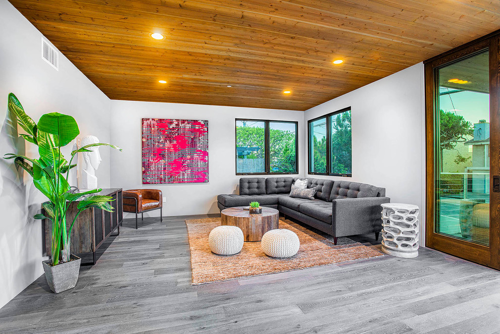 Modernes Wohnzimmer mit weißer Wandfarbe in San Diego