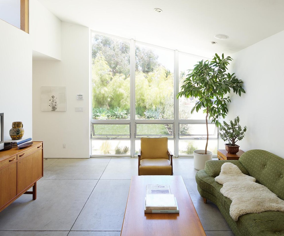Immagine di un soggiorno minimalista con pavimento in cemento e pareti bianche