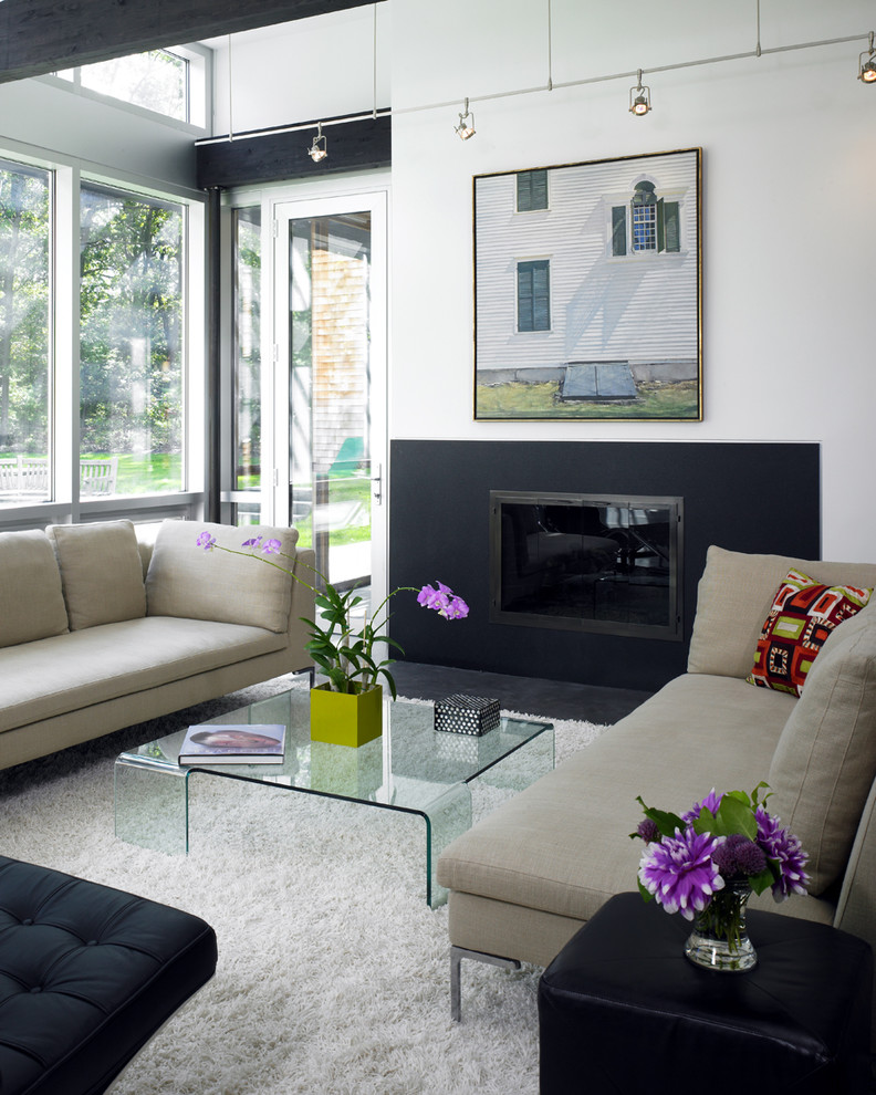 Inspiration for a contemporary living room remodel in Boston with white walls and a standard fireplace