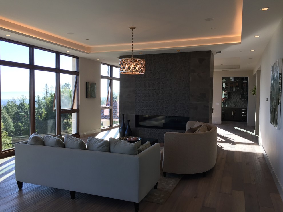 Geräumiges, Repräsentatives, Fernseherloses, Abgetrenntes Modernes Wohnzimmer mit weißer Wandfarbe, braunem Holzboden, Gaskamin und Kaminumrandung aus Stein in San Francisco