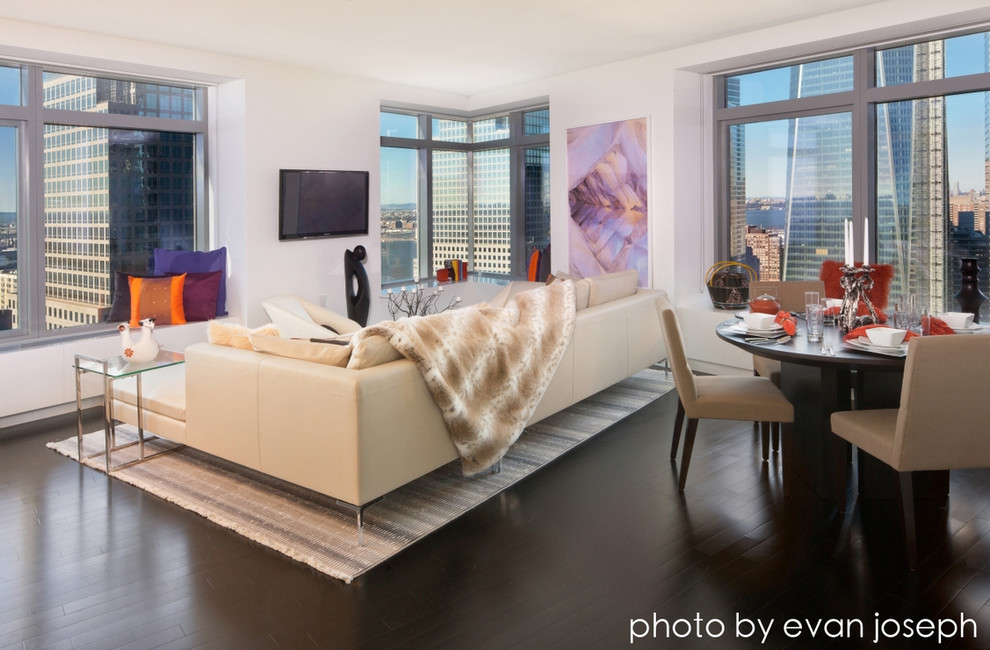 New York City Portfolio Contemporary Living Room New York by