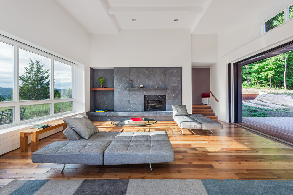 Mittelgroßes, Fernseherloses, Offenes Modernes Wohnzimmer mit weißer Wandfarbe, braunem Holzboden, Kamin und Kaminumrandung aus Stein in New York