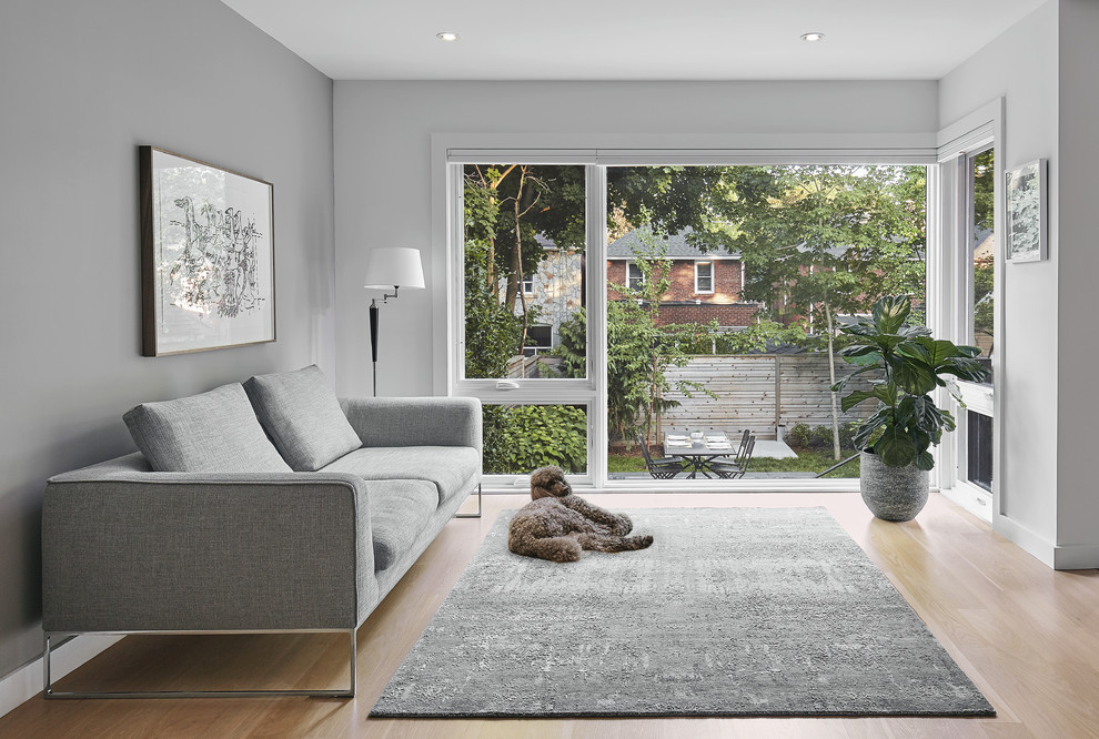 Scandi living room in Toronto with grey walls, light hardwood flooring and no fireplace.