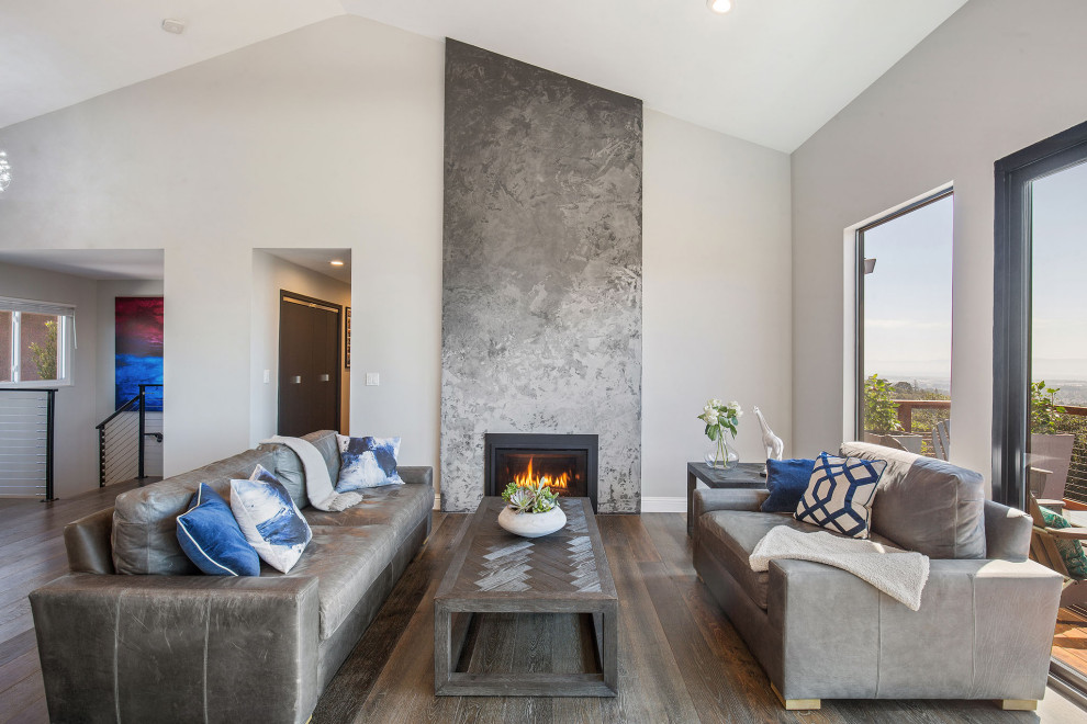 Ispirazione per un soggiorno moderno aperto con cornice del camino in pietra, soffitto a volta, pareti grigie, parquet scuro e pavimento grigio
