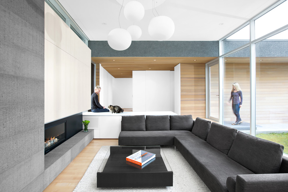 Пример оригинального дизайна: парадная гостиная комната в стиле модернизм с горизонтальным камином и ковром на полу