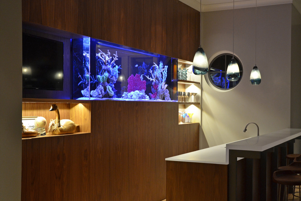 Oceanfront builtin Aquarium Contemporary Living Room Boston by Boston Aquariums Houzz