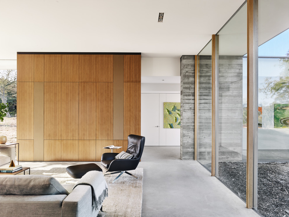Design ideas for a medium sized modern living room in Austin.