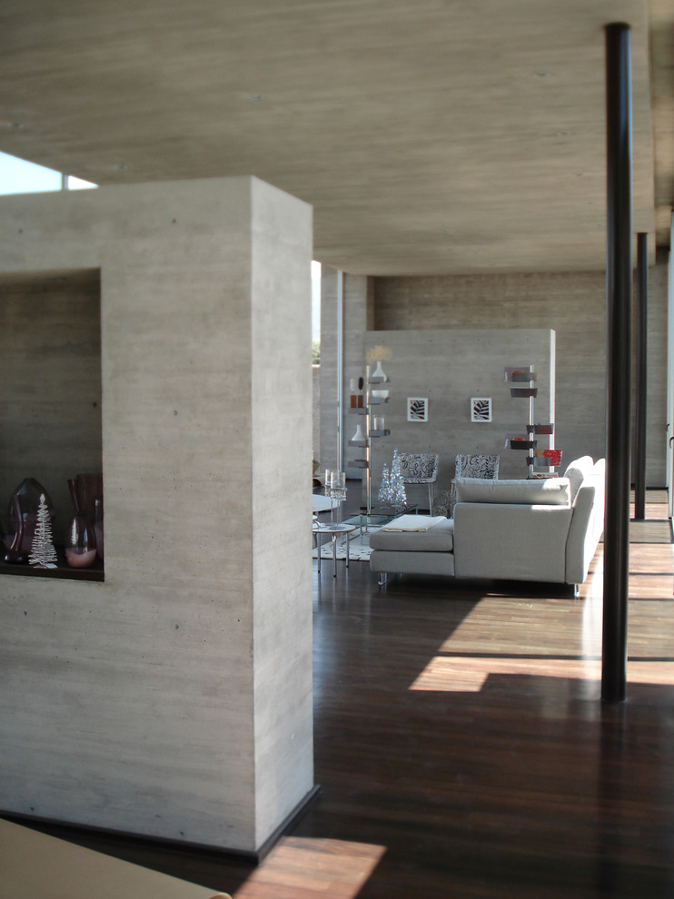 Пример оригинального дизайна: открытая гостиная комната в стиле модернизм с серыми стенами