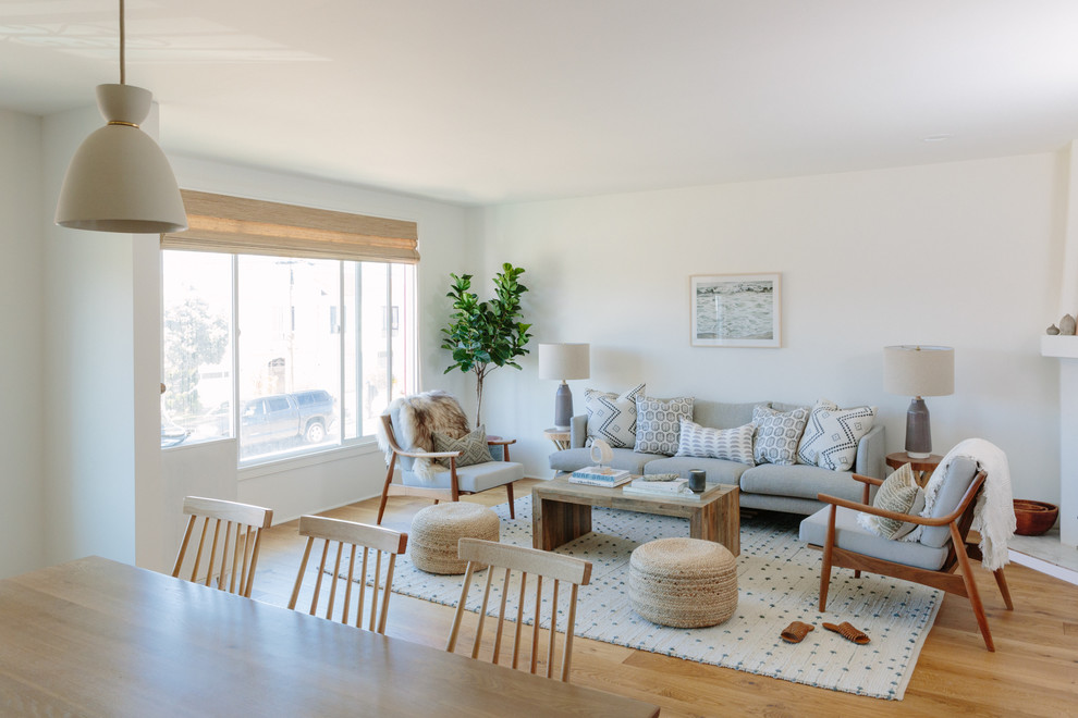 This is an example of a scandinavian living room in San Francisco.