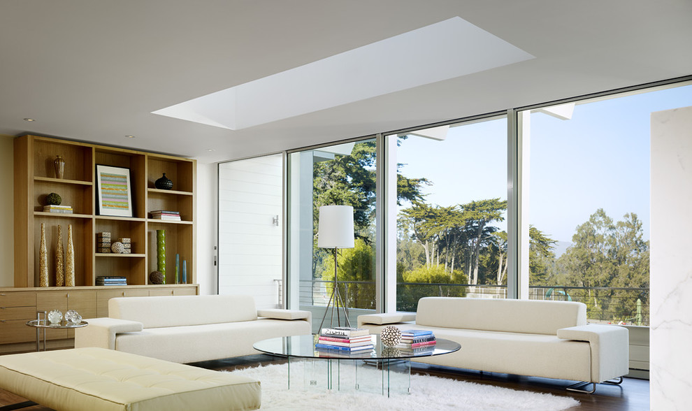 Design ideas for an expansive modern living room in San Francisco.