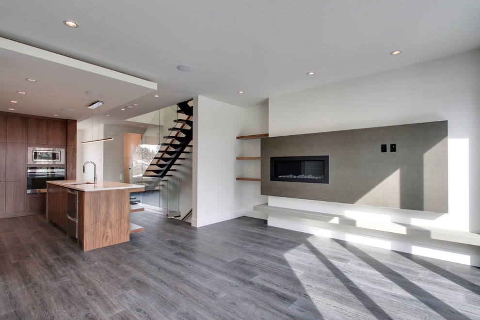 Immagine di un soggiorno minimalista di medie dimensioni e aperto con pareti bianche, pavimento in legno massello medio e camino lineare Ribbon