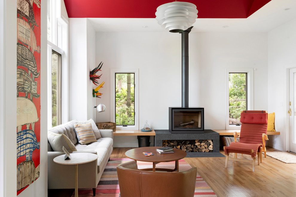 Lounge - Midcentury - Living Room - Minneapolis - by Herrick Design ...