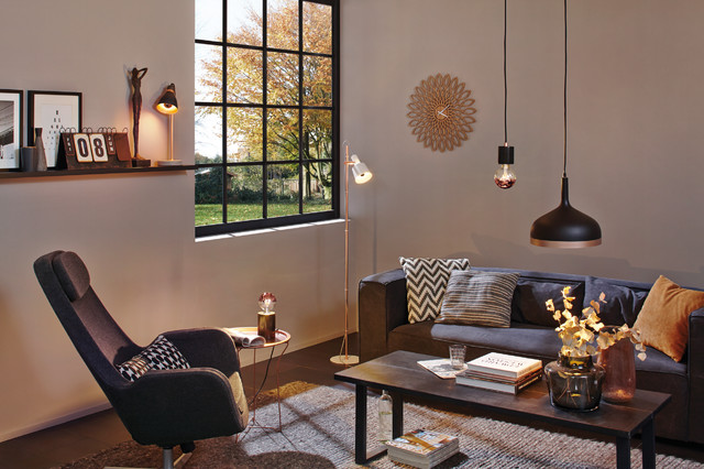 Lighting Lifestyle - Scandinavian - Living Room Hanover by Paulmann | Houzz