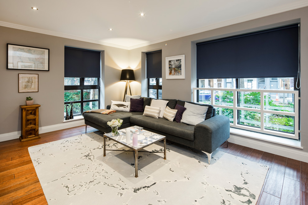 Foto di un soggiorno minimal di medie dimensioni e chiuso con pareti grigie, parquet scuro e pavimento marrone