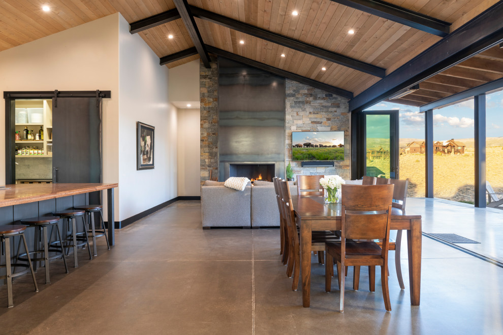 Large mountain style concrete floor and gray floor dining room photo in Denver with white walls, a ribbon fireplace and a metal fireplace