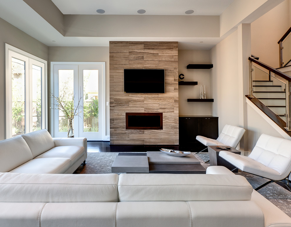 Design ideas for a contemporary living room in Houston.