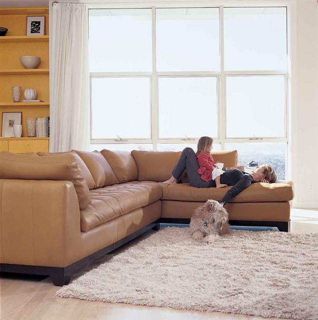 Plummers Furniture Contemporary Living Room San Francisco